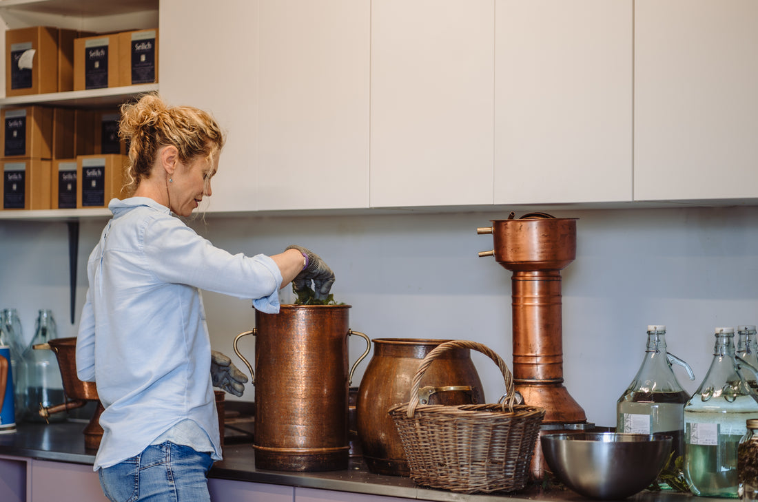 18th November 2023 - Rosemains Studio Open Day