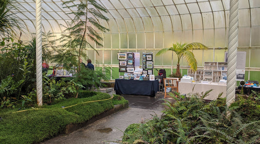Tea Green At Kibble Palace 10/11 Dec 2022