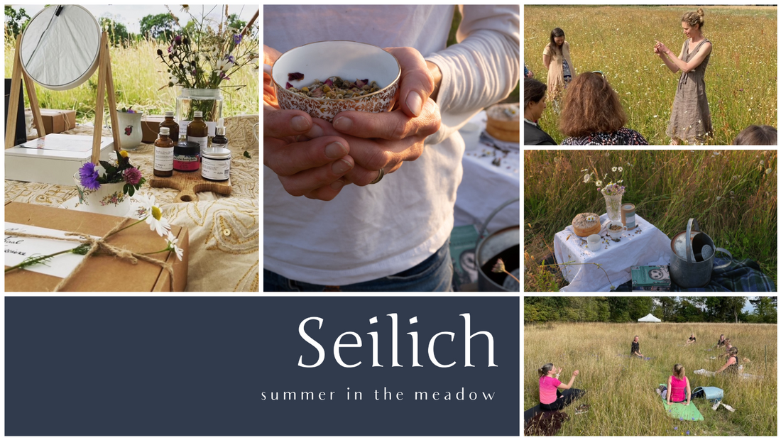 People exploring a wildflower meadow in summer