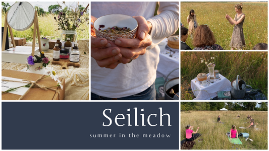 People exploring a wildflower meadow in summer