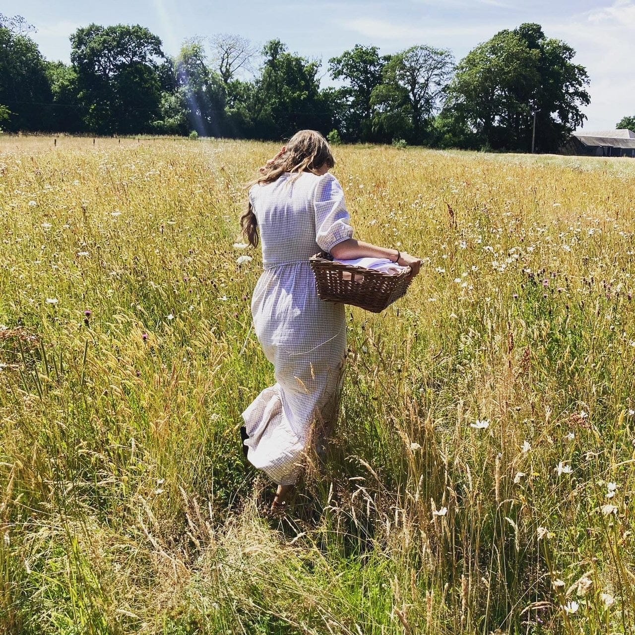 Meadow Musings at Dusk 29th July