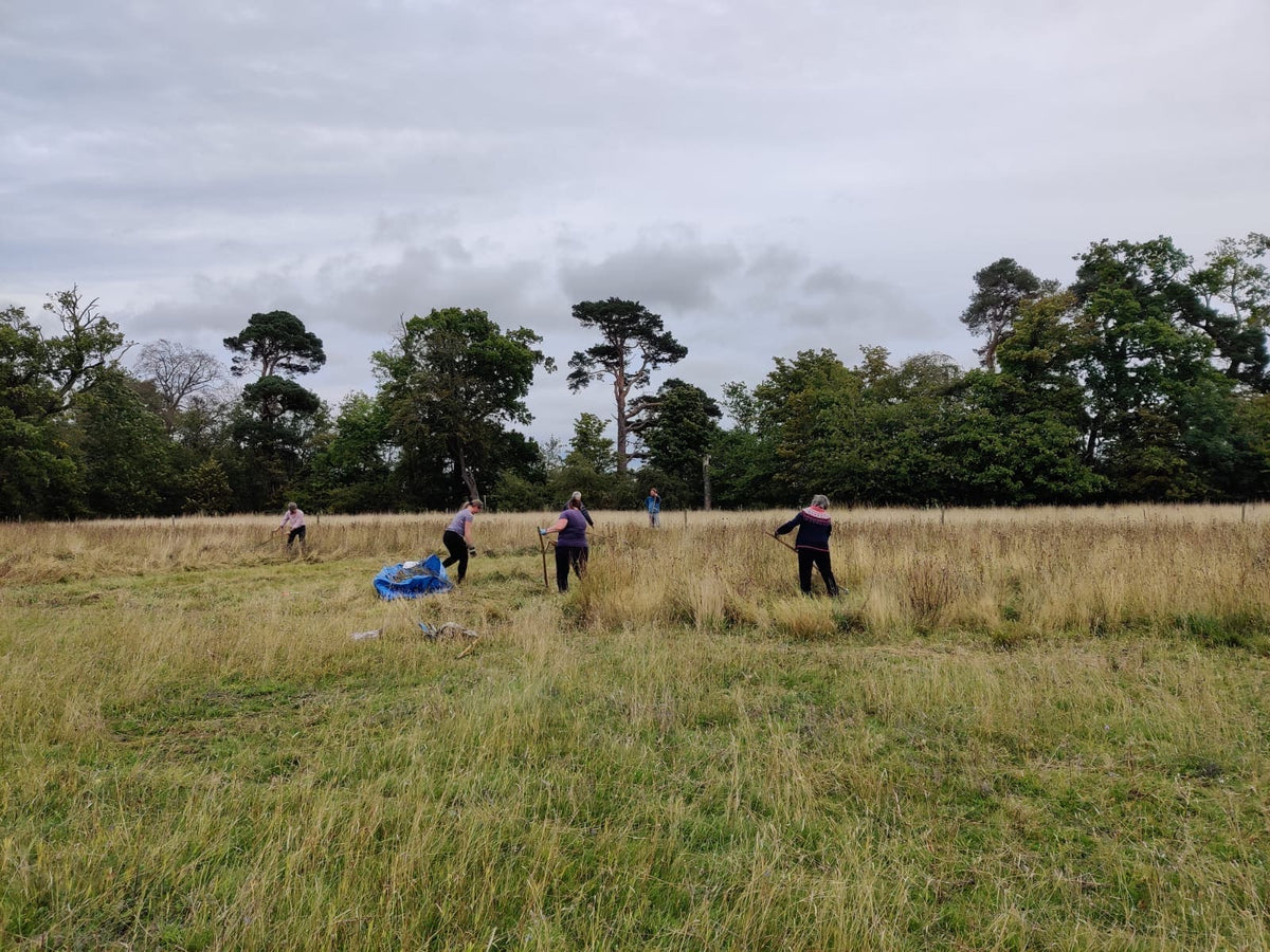 Meadow Creation and Management Workshop