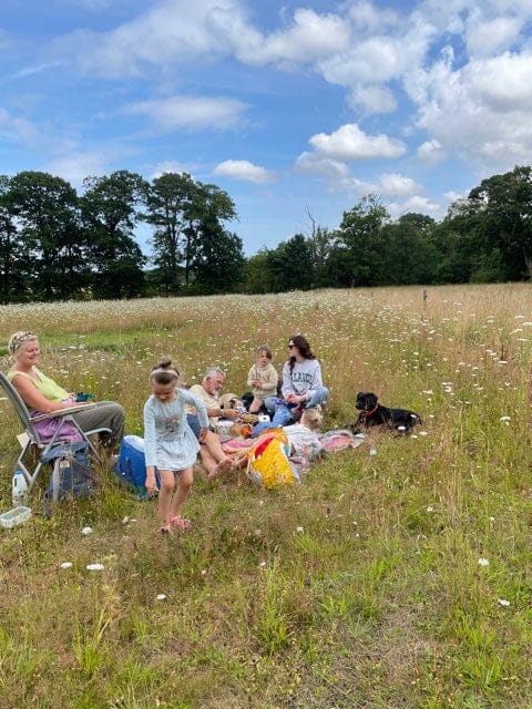 Meadow Open Day 12th August