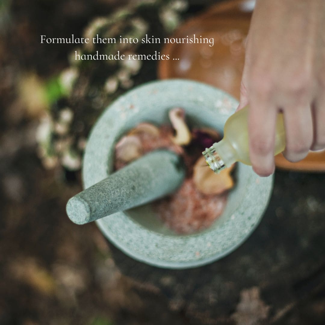 Making Skincare Workshops
