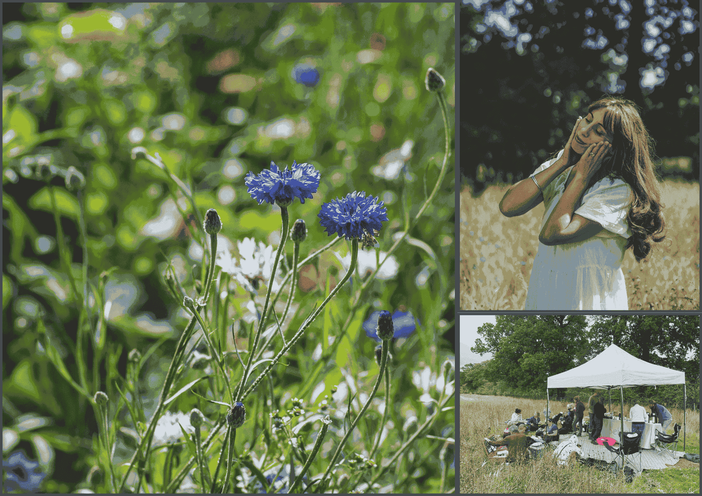 Meadow Open Day 2024 - Sat 5th July