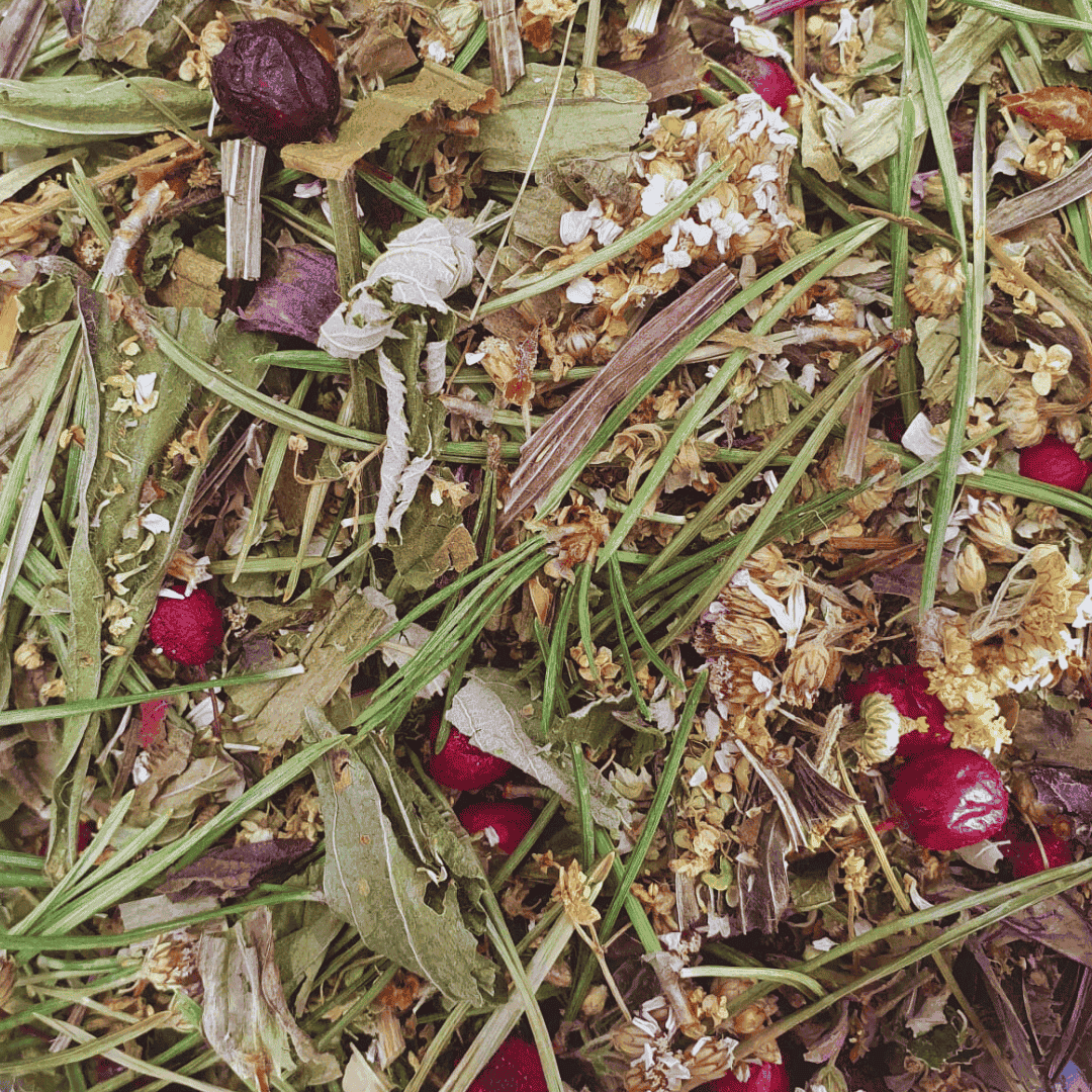 Nourishing Blend Tea