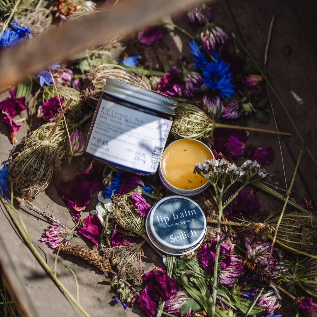 Meadow Volunteer Days