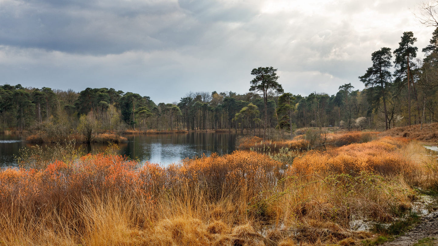 Nature's Secret Serum