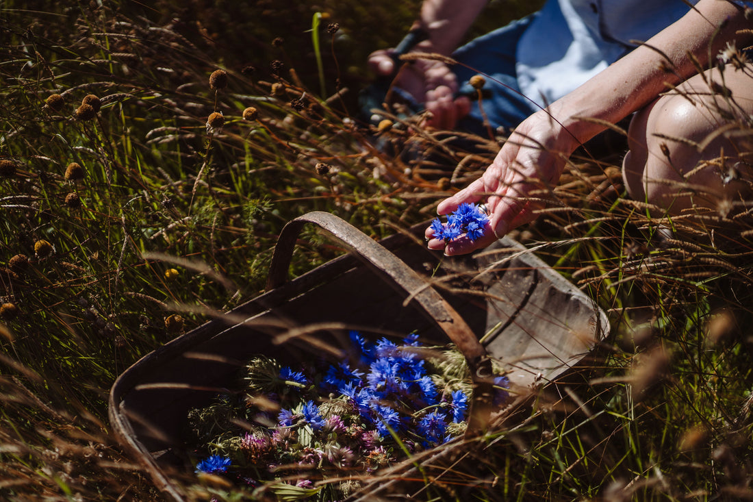 Clean Beauty: Why Meadow Grown Botanicals are Better