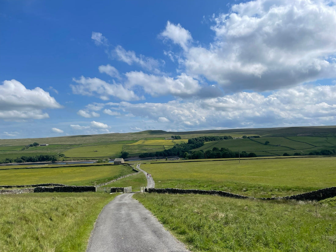 The Quiet Wisdom of a Hay Meadow