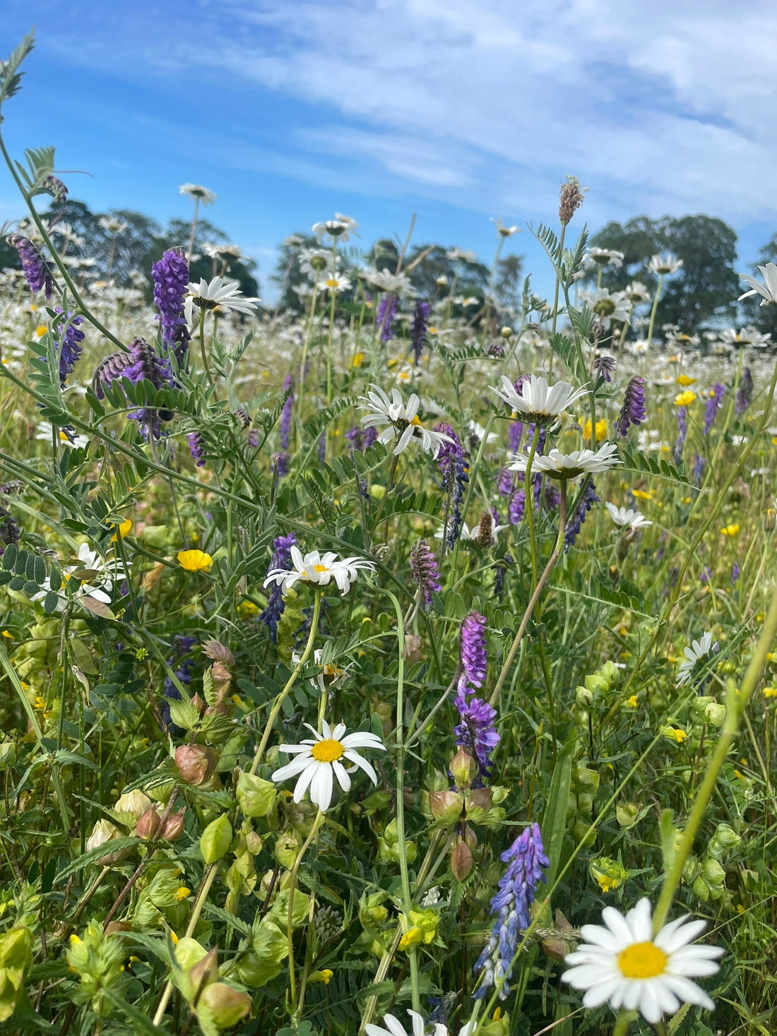 Nature Positive: can business really be good for nature?