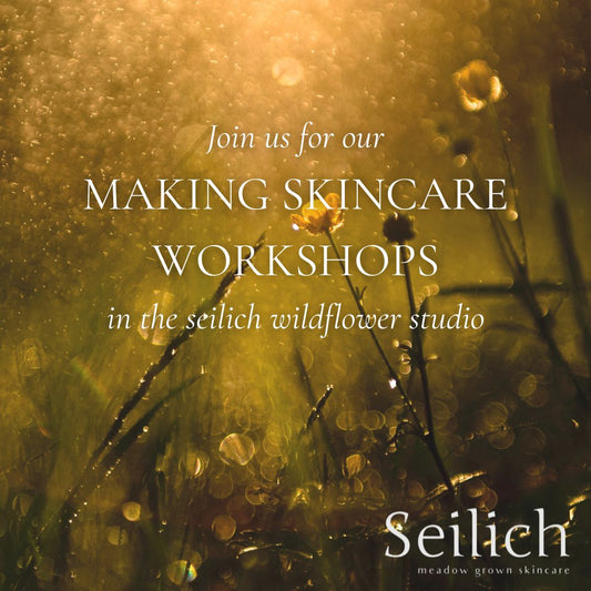Making Skincare Workshop