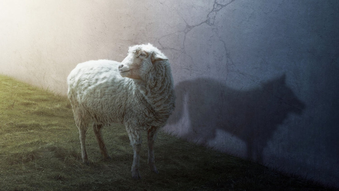 Sustainable packaging and the beauty sector – wolves in sheep’s clothing?