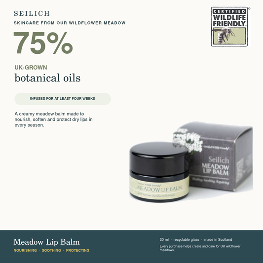 Meadow Lip Balm