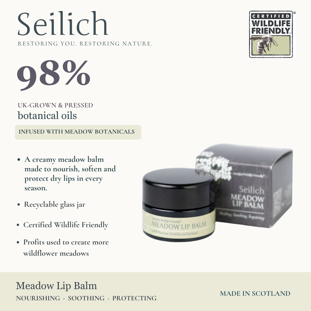 Meadow Lip Balm