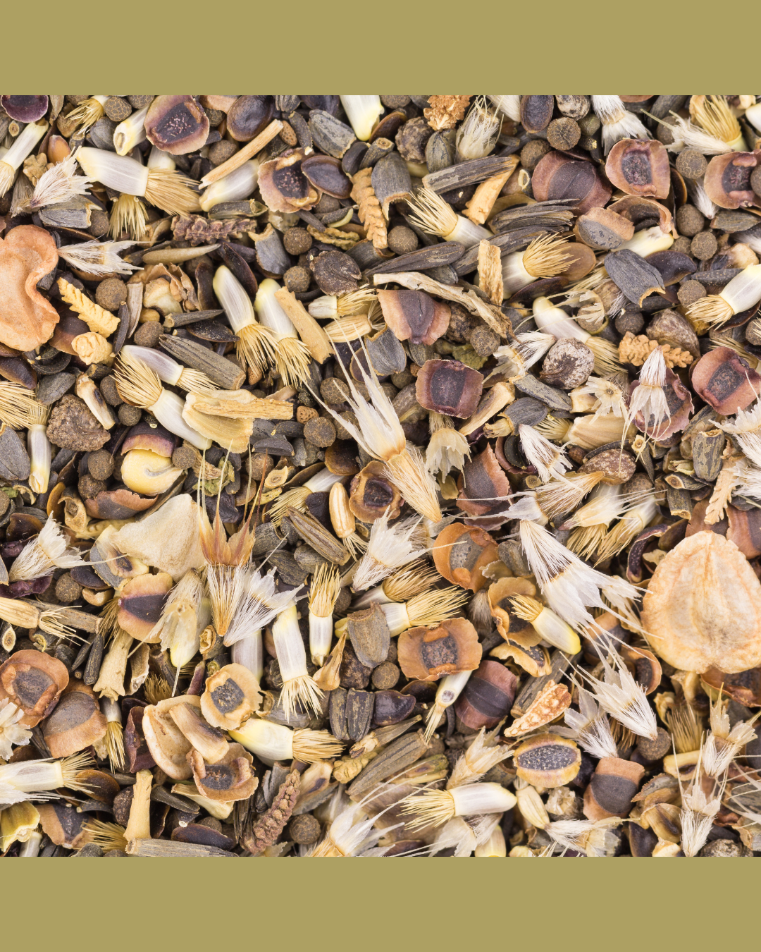 Wildflower Seeds