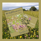 Wildflower Seeds