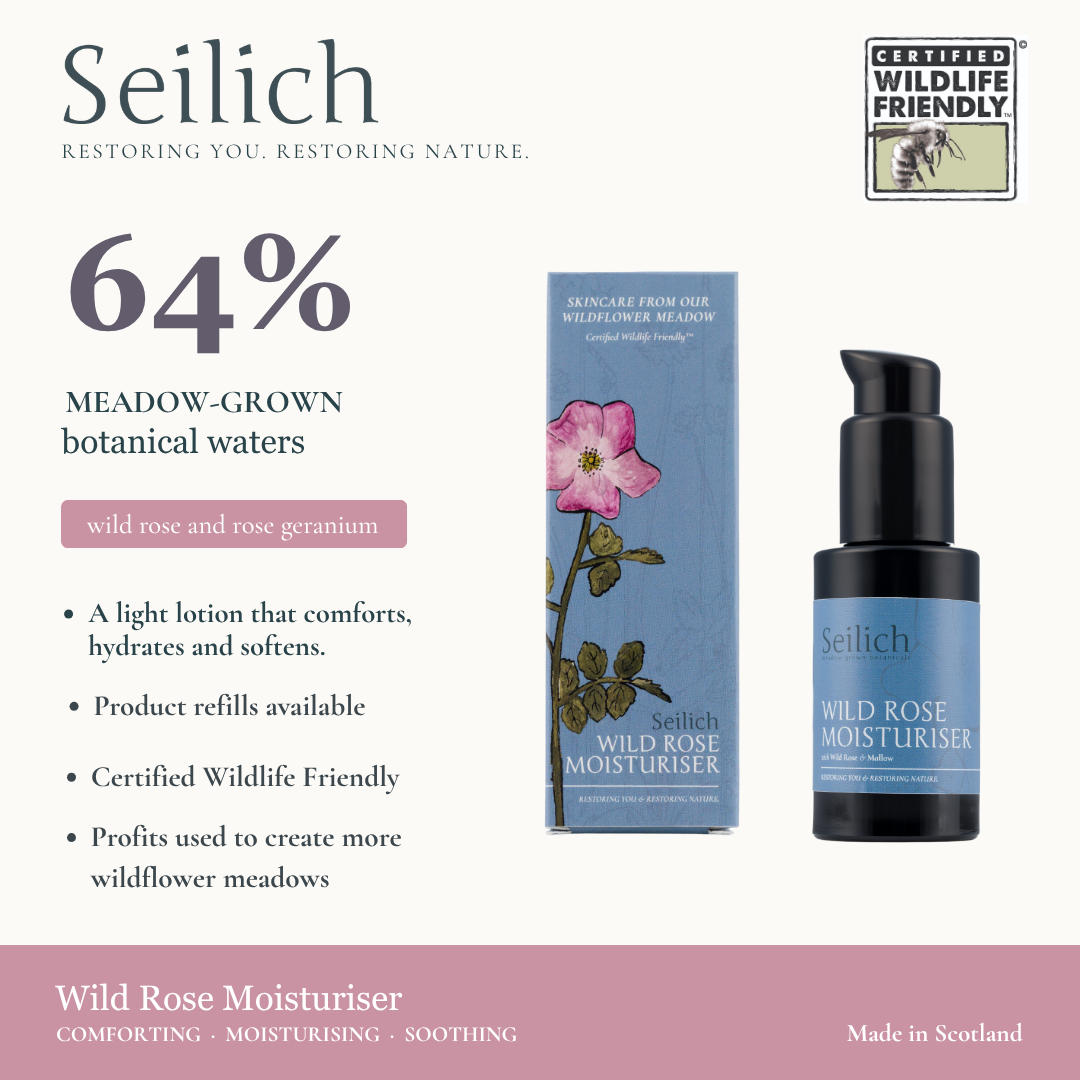 Wild Rose Moisturiser