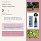 Wild Rose Moisturiser