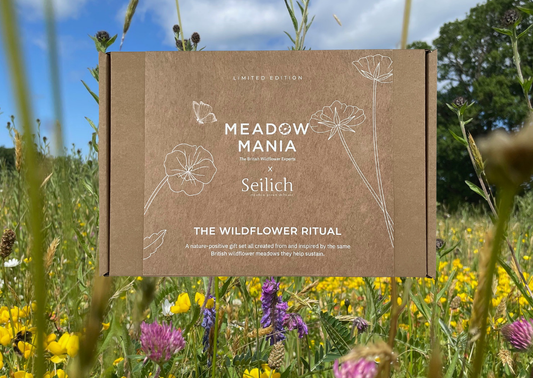Wildflower Ritual Set
