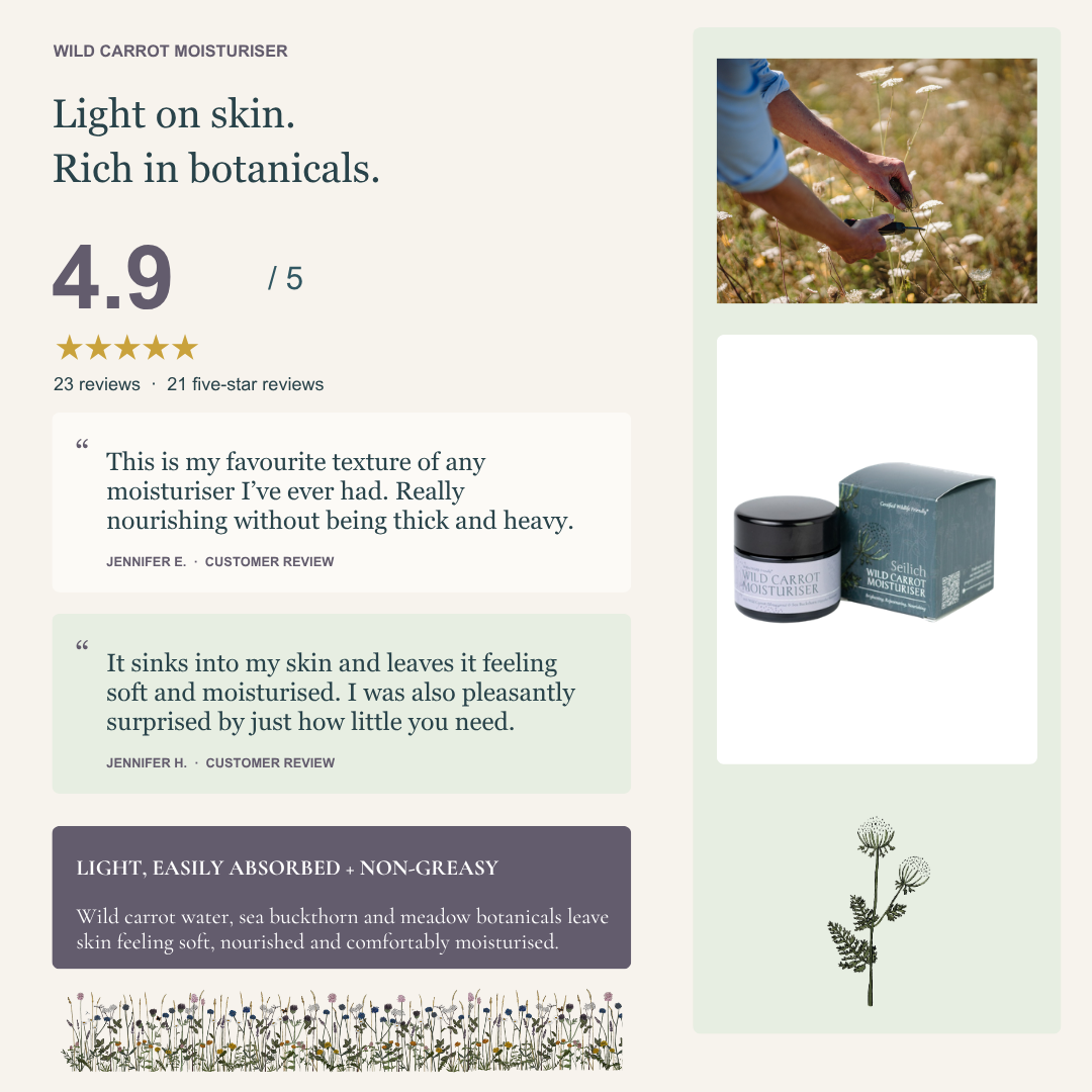Wild Carrot Moisturiser