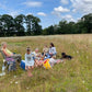 Meadow Open Day 12th August