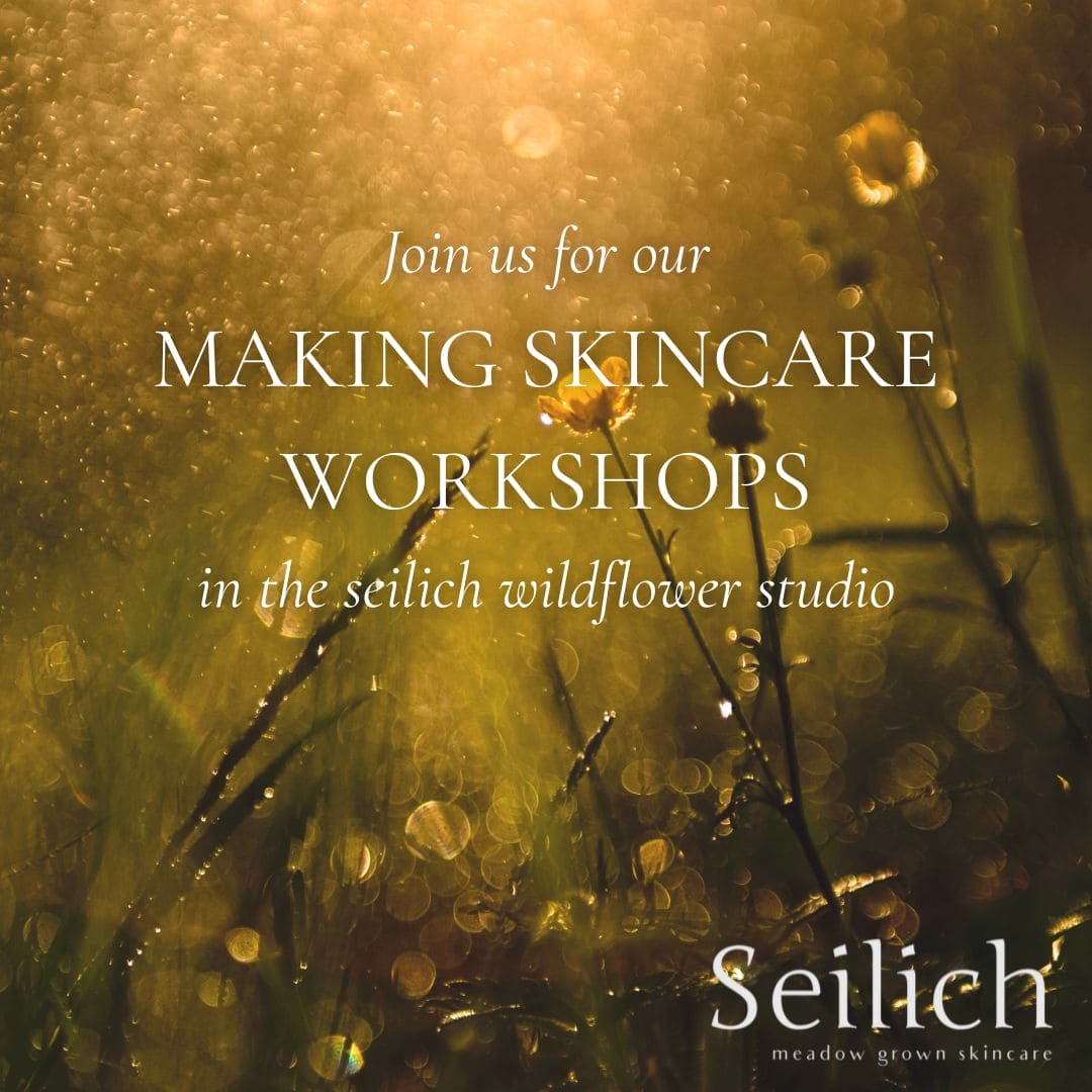 Making Skincare Workshops 2024