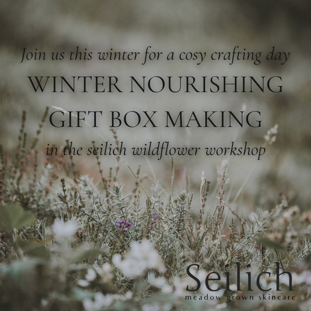 Winter Gift Box Making Workshop