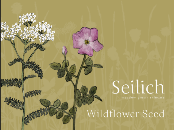 Wildflower Seeds
