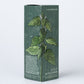 Nettle Toner