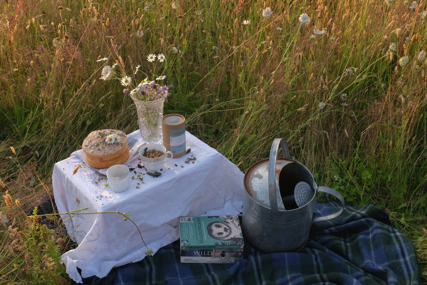 Meadow Musings at Dusk 29th July