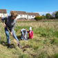 Meadow Creation Workshop