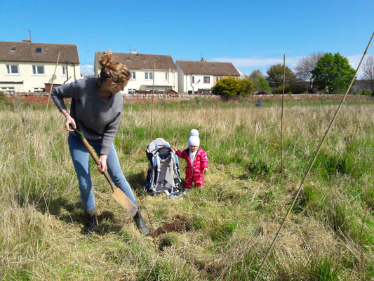 Meadow Creation and Management Workshop