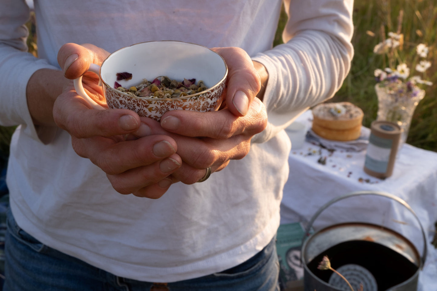 Meadow Musings at Dusk 29th July