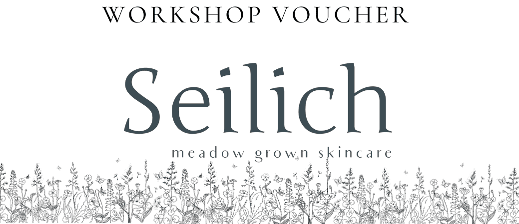 Seilich Workshop Gift Voucher