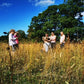 Make you Own Skincare Products from Meadow Grown Wildflowers